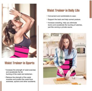 Three Strap Compression Waist Trainer