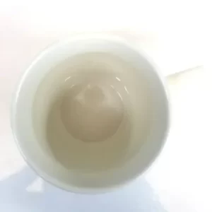 A close up of a Starbucks Siren Logo Green Striped Mug with a hole in it.