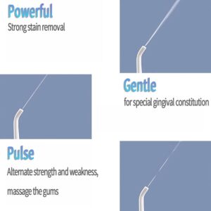 Four different types of Water Flosser Usb Rechargeable Dental Whitening are shown.