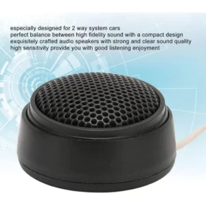 A black Pair Of Mini Car Speaker with a white background.